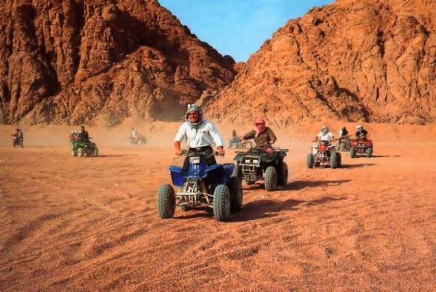 Morning 3-Hours Quad Safari From Sharm El Sheikh