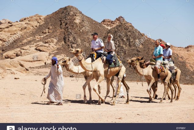 Super Sand Buggy safari from Sharm El Sheikh