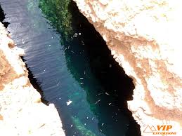 Ras Muhamed By Bus From Sharm El Sheikh