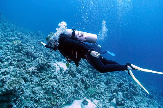 Scuba Diving In Ras Mohammed
