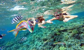 Tiran Island Snorkeling Trip From Sharm El Sheikh